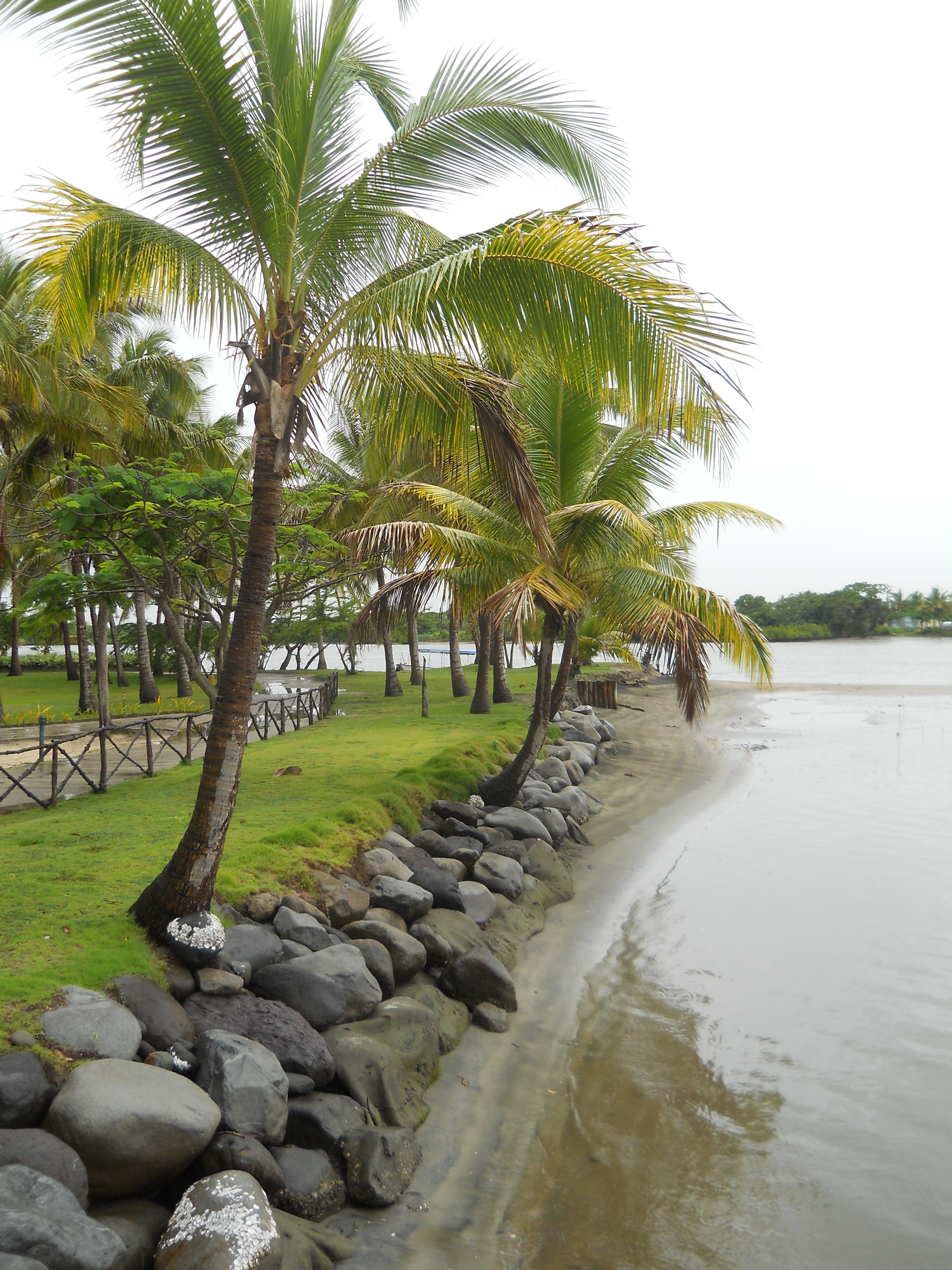 a-rainy-beach-ramble-in-fiji-rambling-tart