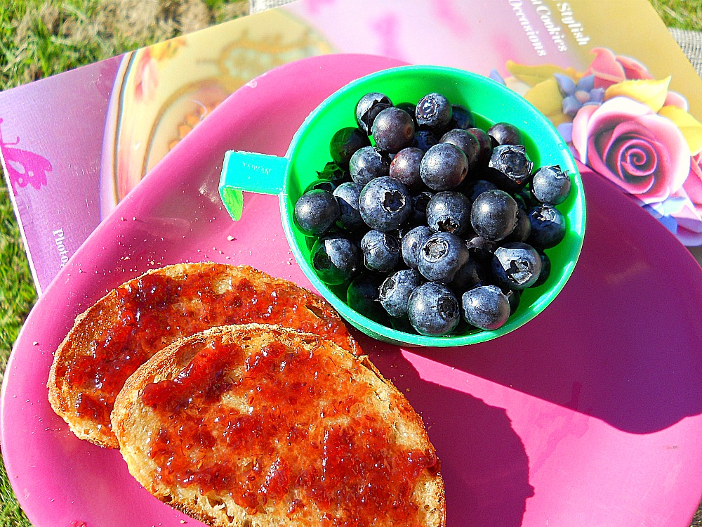 Blueberries and toast