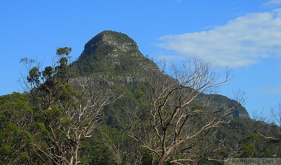 Photo Essay Cunningham s Gap Australia  ramblingtart