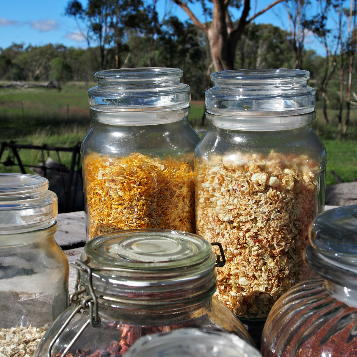 dried calendula and jasmine