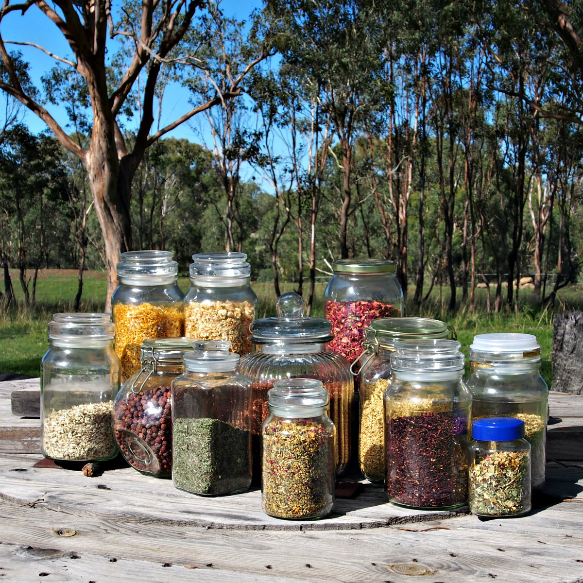 dried herbs for tea making 