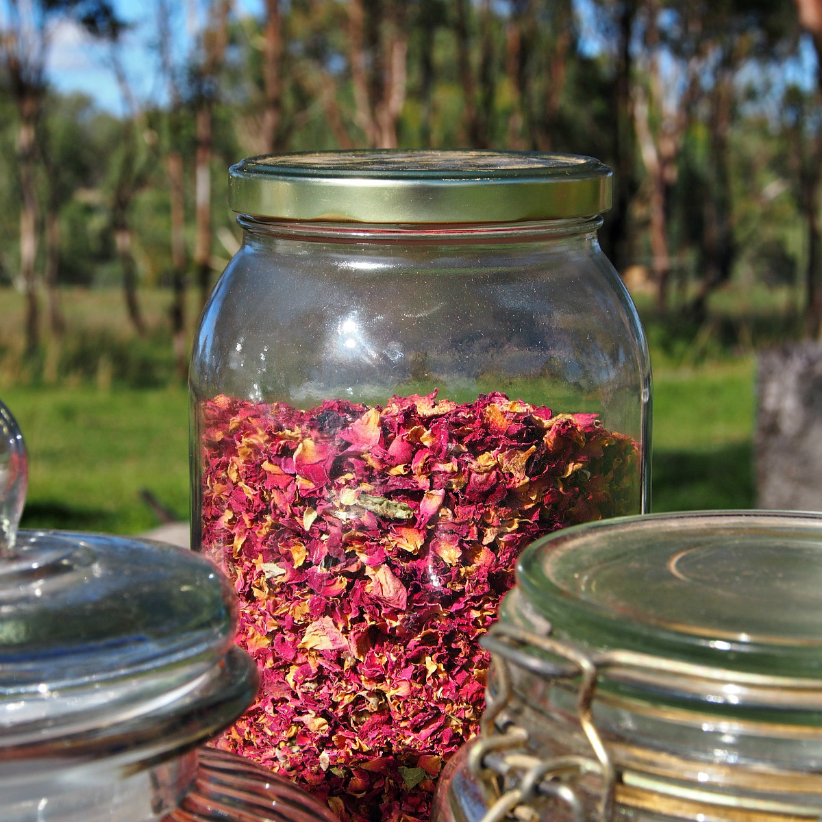 dried rose petals