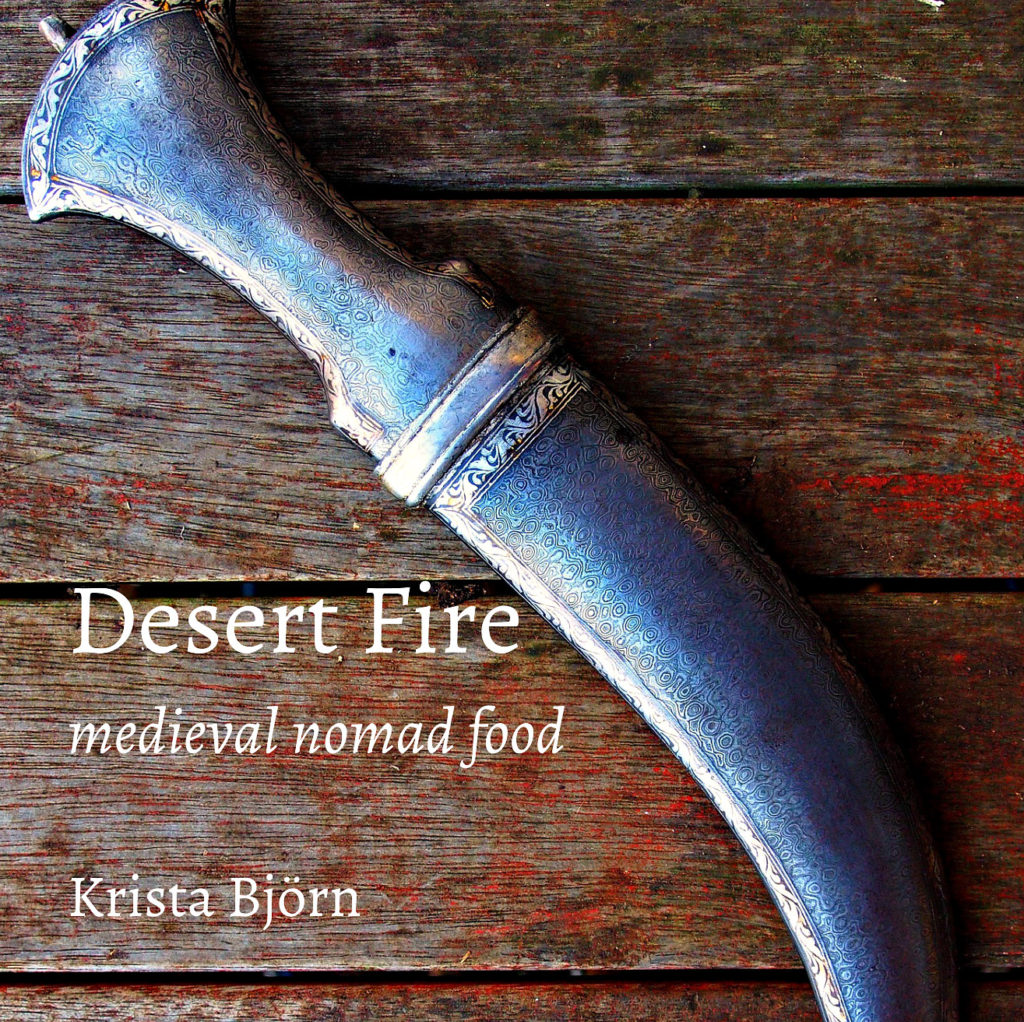 Desert Fire book