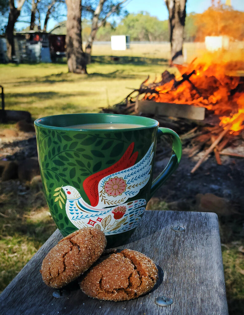 coffee and cookies by campfire